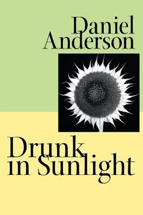 Drunk in Sunlight by Daniel Anderson