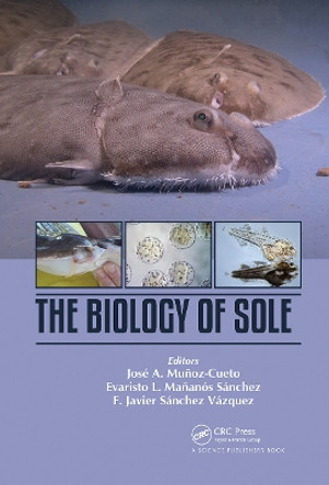 The Biology of Sole by Jose A. Munoz-Cueto 9780367779832