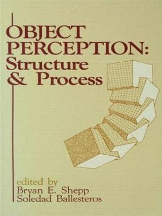 Object Perception: Structure and Process by Bryan E. Shepp