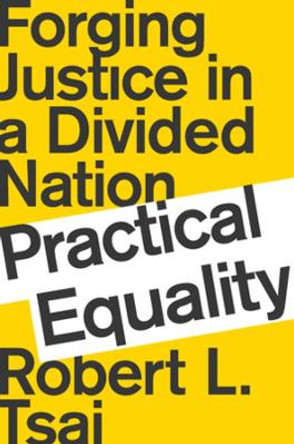 Practical Equality: Forging Justice in a Divided Nation by Robert Tsai 9780393652024