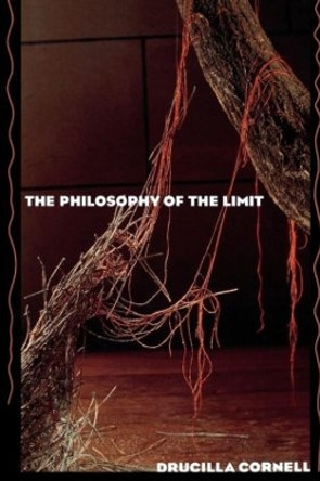 The Philosophy of the Limit by Drucilla Cornell 9780415902397