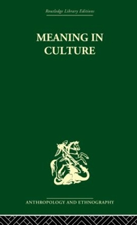 Meaning in Culture by F. Allan Hanson 9780415869256