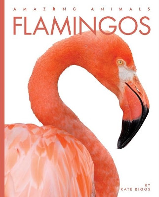 Flamingos by Kate Riggs 9781682770979