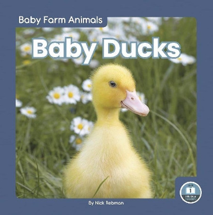 Baby Ducks by Nick Rebman 9781646194742