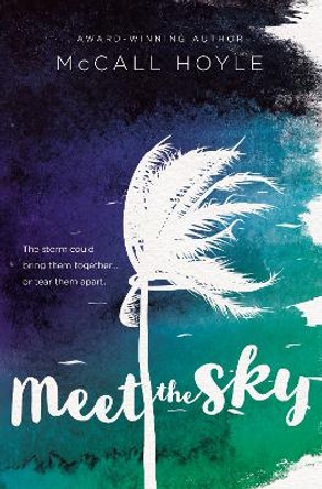 Meet the Sky by McCall Hoyle 9780310765707