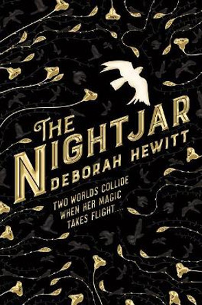 The Nightjar by Deborah Hewitt 9781250239822