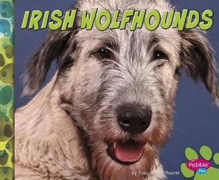 Irish Wolfhounds by Allan Morey 9781491479810