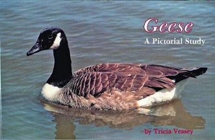 Geese: A Pictorial Study by T. Veasey