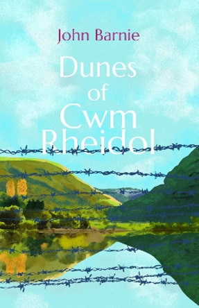 Dunes of Cwm Rheidol by John Barnie 9781788641456