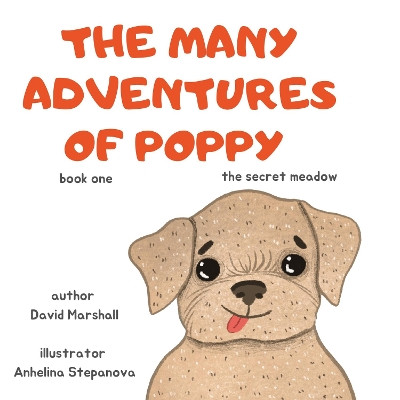 The Many Adventures Of Poppy - The Secret Meadow by David Marshall 9781804673379