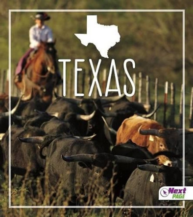Texas by Bridget Parker 9781515704904