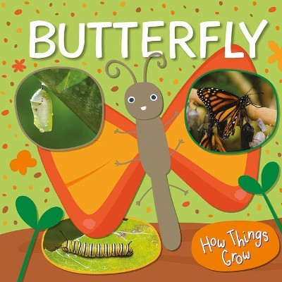 Butterfly by William Anthony 9781538389898