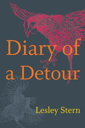 Diary of a Detour by Lesley Stern 9781478008811