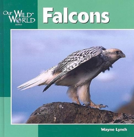 Falcons by Wayne Lynch 9781559719117