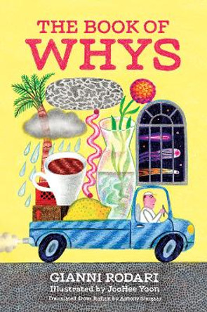 The Book of Whys by Gianni Rodari 9781592703647