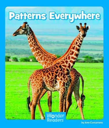 Patterns Everywhere by Ann Corcorane 9781429678698