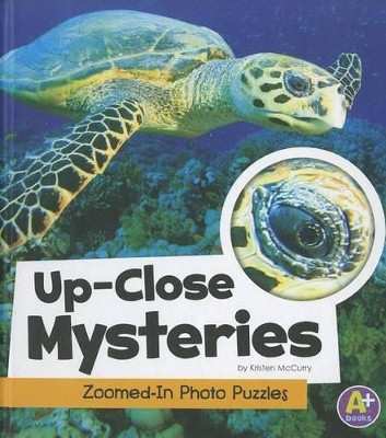 Up-Close Mysteries: Zoomed-In Photo Puzzles by Kristen McCurry 9781429675505
