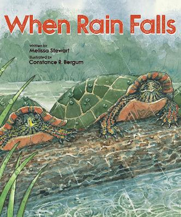 When Rain Falls by Melissa Stewart 9781682631003