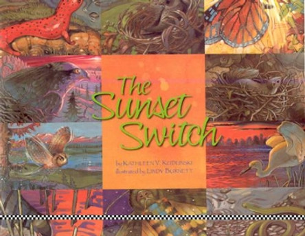 The Sunset Switch by Kathleen V. Kudlinski 9781559719162