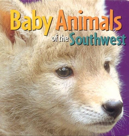 Baby Animals of the Southwest by Rising Moon Editors 9780873589246