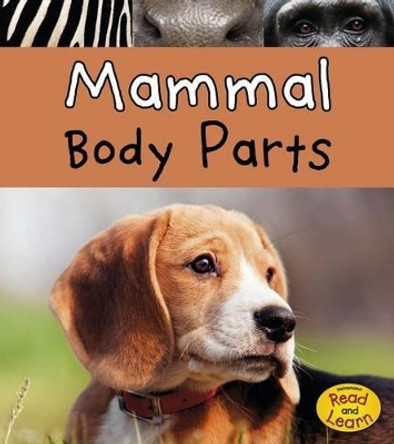 Mammal Body Parts (Animal Body Parts) by Clare Lewis 9781484625590