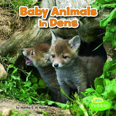 Baby Animals in Dens (Baby Animals and Their Homes) by Martha E H Rustad 9781515738343