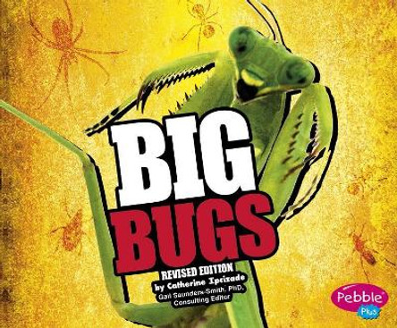 Big Bugs (Big) by Catherine Ipcizade 9781515762355