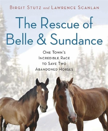 The Rescue of Belle and Sundance: One Town's Incredible Race to Save Two Abandoned Horses by Birgit Stutz 9780306820977