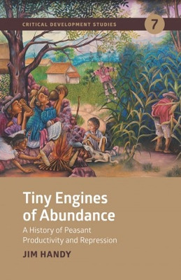 Tiny Engines of Abundance: A history of peasant productivity and repression by James Handy 9781788531900