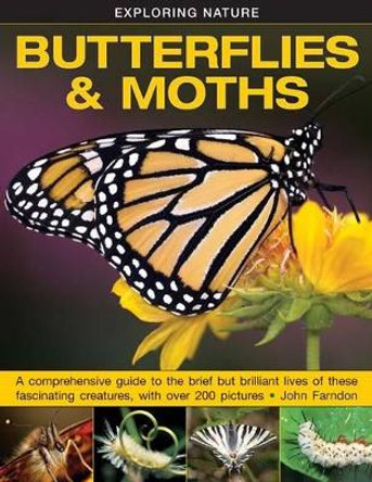 Exploring Nature: Butterflies & Moths by John Farndon 9781861474070