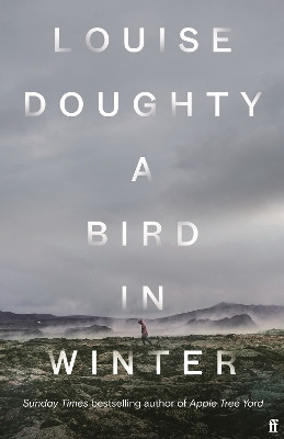 A Bird in Winter: 'Nail-bitingly tense and compelling' Paula Hawkins by Louise  Doughty 9780571322183