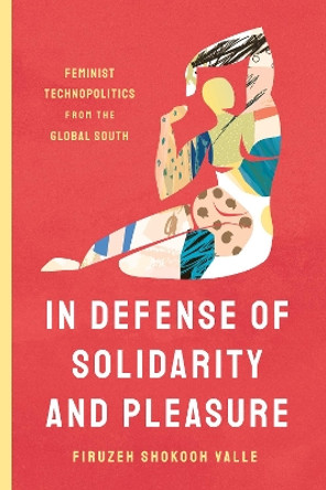 In Defense of Solidarity and Pleasure: Feminist Technopolitics from the Global South by Firuzeh Shokooh Valle 9781503636149