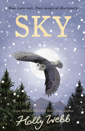 Sky by Holly Webb 9781788956581