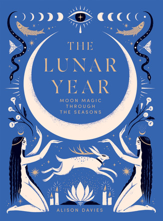 The Lunar Year: Moon Magic Through the Seasons by Alison Davies 9781837830909