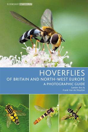 Hoverflies of Britain and North-west Europe: A photographic guide by Sander Bot 9781399402453