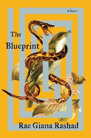 The Blueprint by Rae Giana Rashad 9780063330092