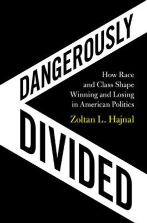 Dangerously Divided: How Race and Class Shape Winning and Losing in American Politics by Zoltan L. Hajnal