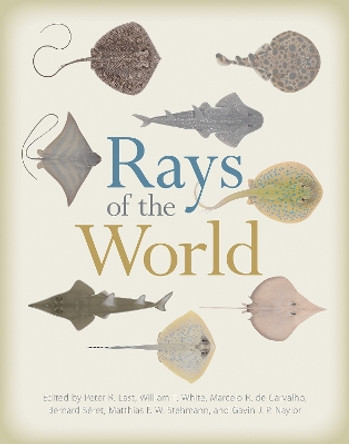 Rays of the World by Gavin J. P. Naylor 9781501705328