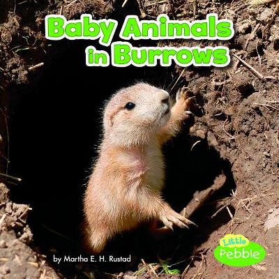 Baby Animals in Burrows (Baby Animals and Their Homes) by Martha Elizabeth Hillman Rustad 9781515738350