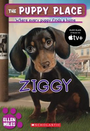 Ziggy by Ellen Miles