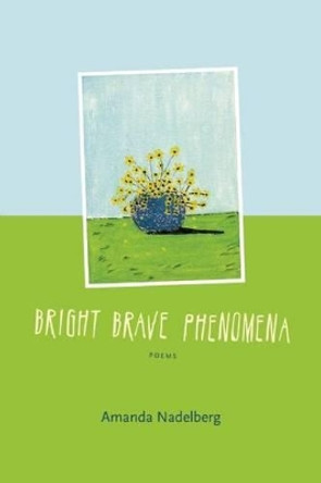 Bright Brave Phenomena by Amanda Nadelberg 9781566893039