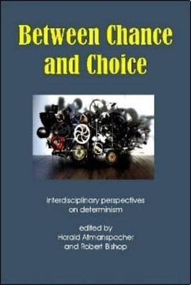 Between Chance and Choice: Interdisciplinary Perspectives on Determinism by Robert Bishop 9781845400842
