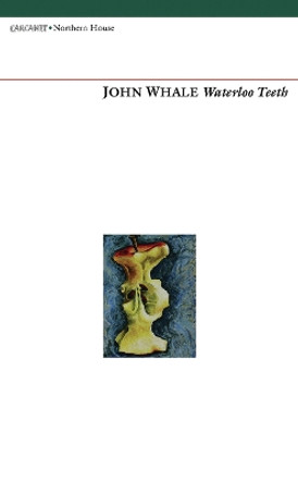 Waterloo Teeth by John Whale 9781847771117