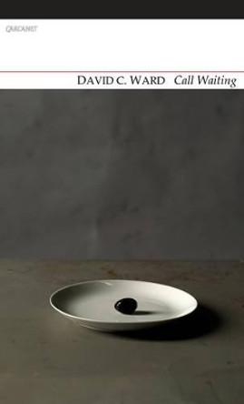 Call Waiting by David C. Ward 9781847772268