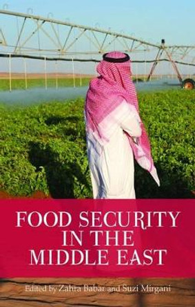 Food Security in the Middle East by Zahra Babar 9781849043021