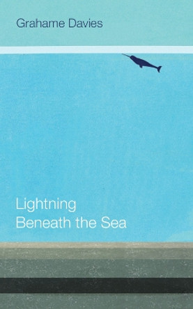 Lightning Beneath the Sea by Grahame Davies 9781854115751