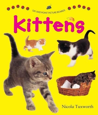 Say and Point Picture Boards: Kittens by Nicola Tuxworth 9781861473844