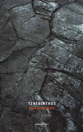 Terebinthos: Poems and Stone Fragments by Gordon Walmsley 9781897648469