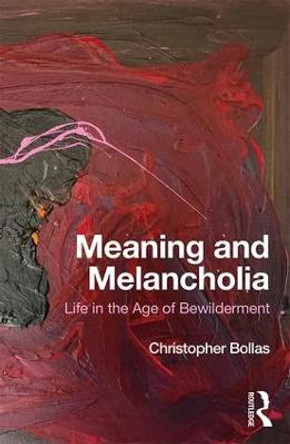 Meaning and Melancholia: Life in the Age of Bewilderment by Christopher Bollas