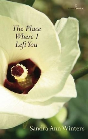 The Place Where I Left You by Sandra Ann Winters 9781908836939